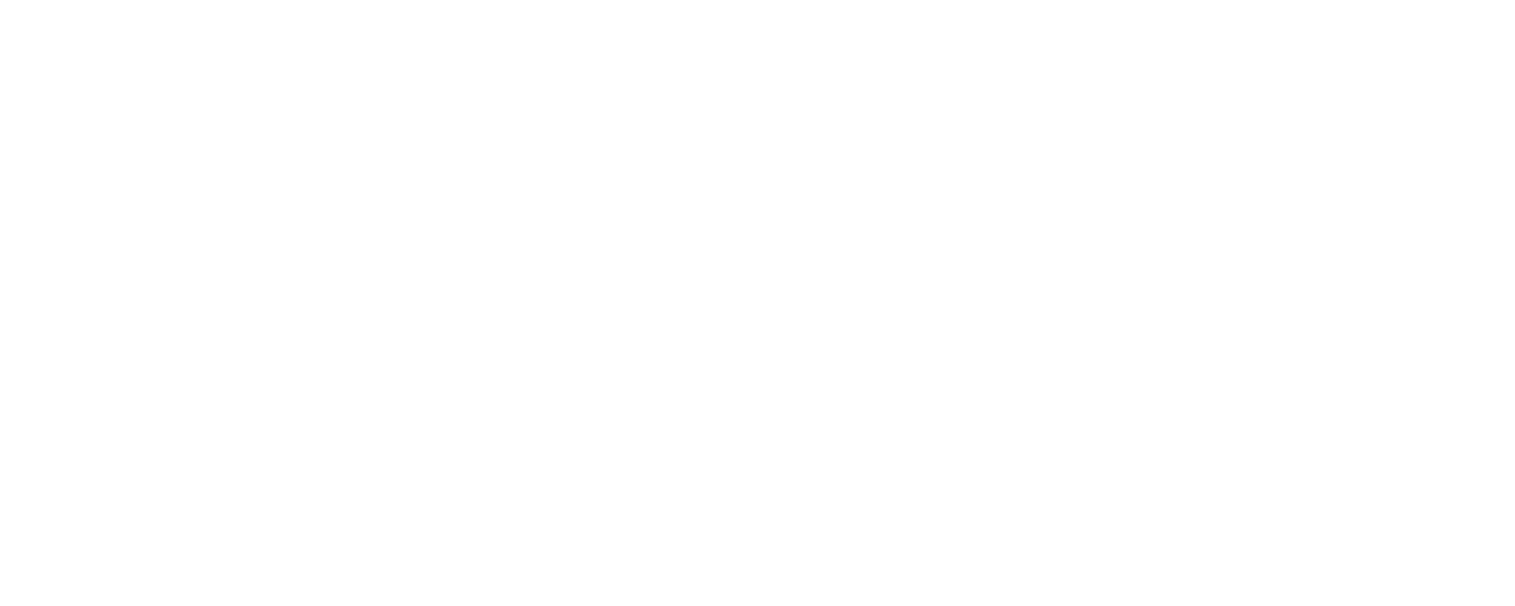 Mr Zik Logo